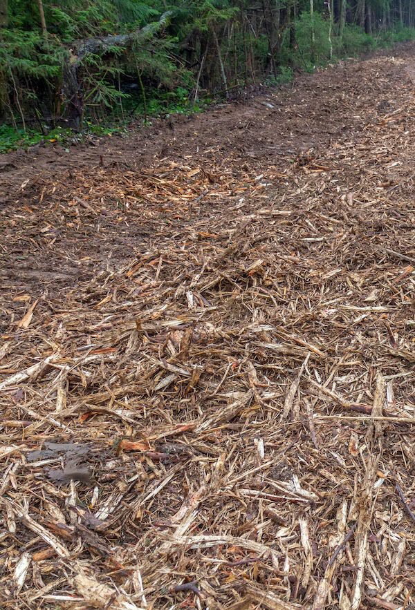 Land Clearing and Demolition