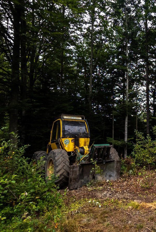 Land Clearing with Bulldozer