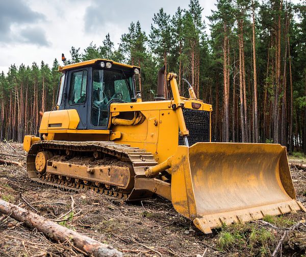 Tree Removal with Bulldozer